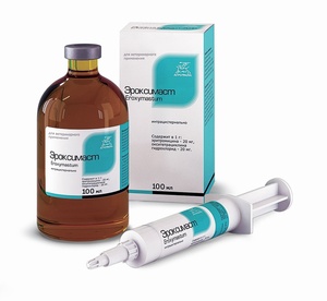 ЭРОКСИМАСТ (1 шприц*10 мл) д/лактирующ эритромицин/окситетрациклин