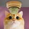 ИГРУШКА д/кошек "ШАРИК" с мятой на подставке винчи (Изображение 1)