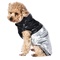 ПОПОНА д/собак утепленная "Звезда" серебр-черная р-р L 35 см, триол (Изображение 2)